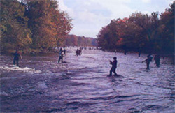 Crowd on the Salmon River